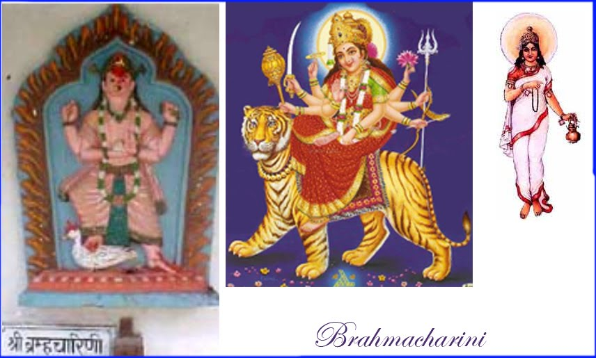 Information About Goddess Navdurga. Nine Avatars of Goddess Durga Navratri, Navdurga Festive Articles   